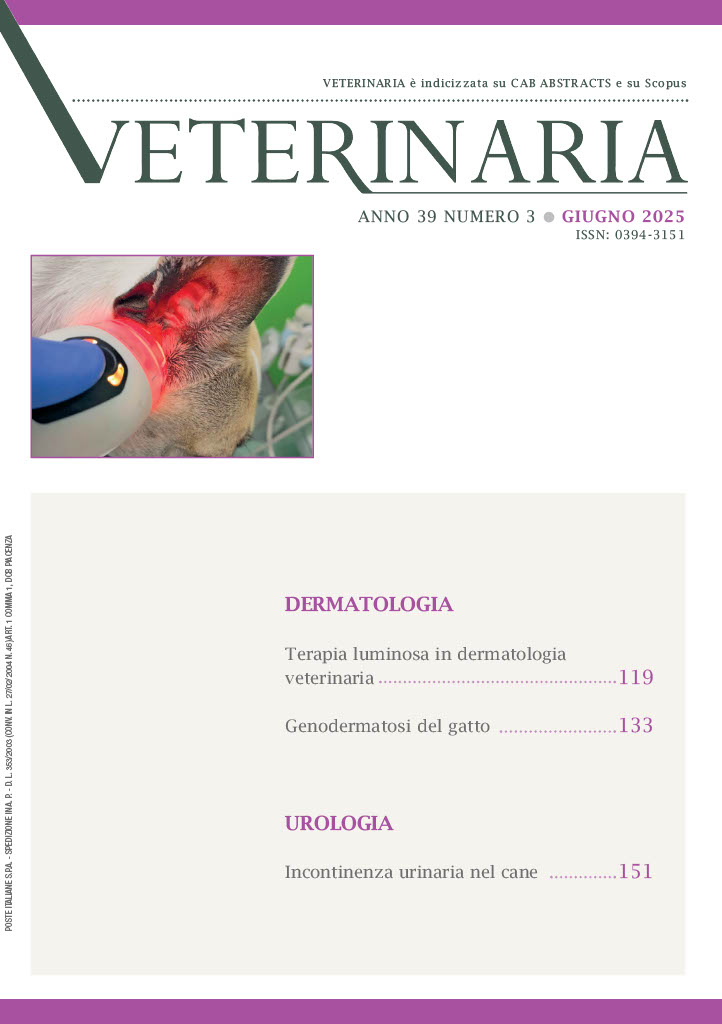 Cover 3 June 2026