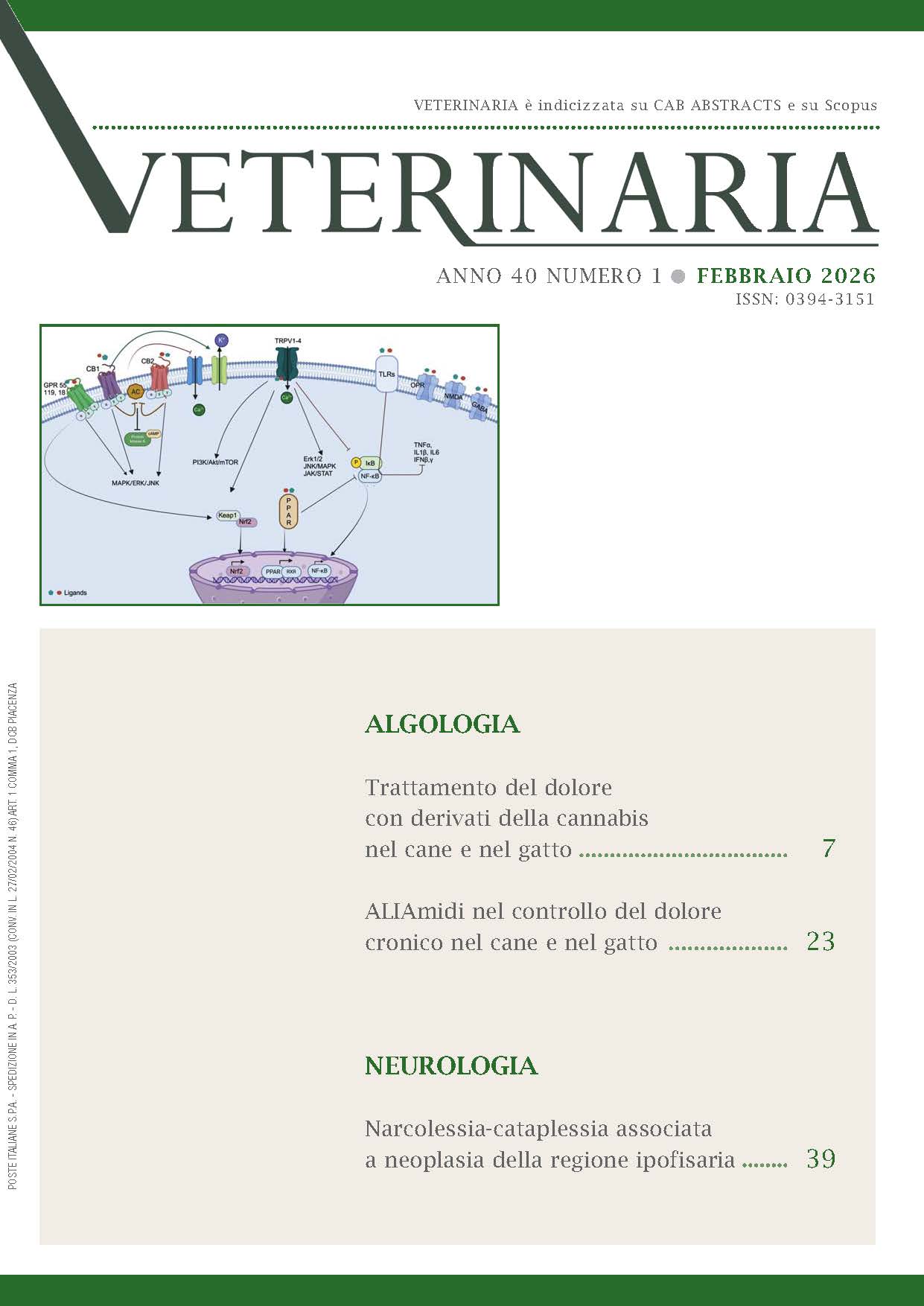 Cover 1 February 2026