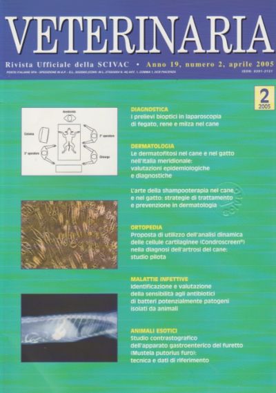 Veterinaria Anno 19, n. 2, 2005
