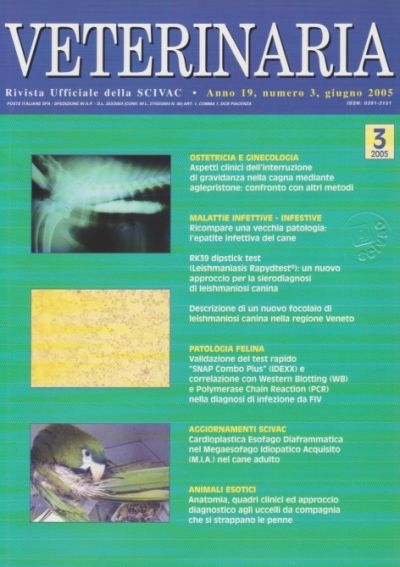 Veterinaria Anno 19, n. 3, 2005