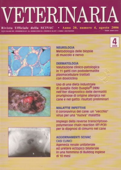 Veterinaria Anno 20, n. 4, Agosto 2006