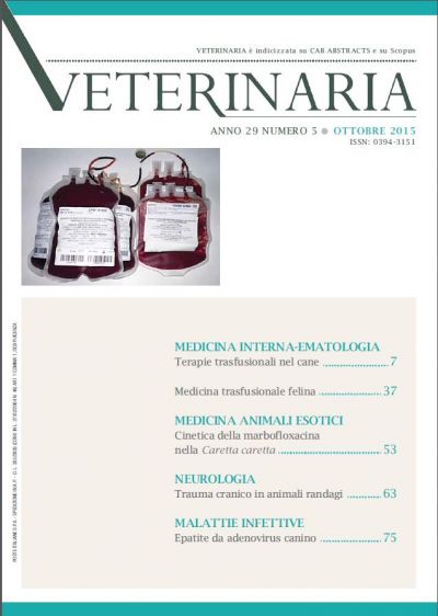 Year 29, n. 5, October 2015