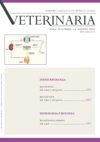 Year 39, n. 4, August 2025