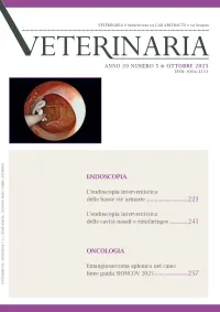 Year 39, n. 5, October 2025