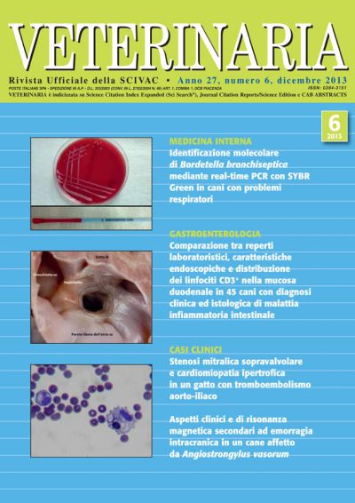 Veterinaria Anno 27, n. 6, Dicembre 2013